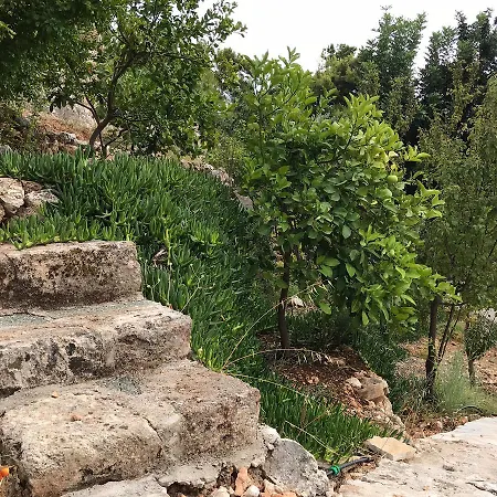 Appartement Katarina Kefalonia - Sea View