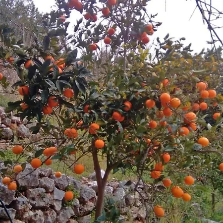 Katarina Kefalonia - Sea View