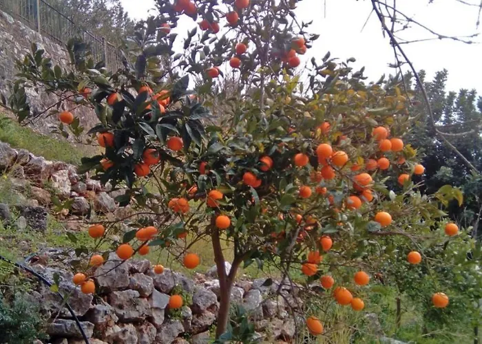 Katarina Kefalonia - Sea View